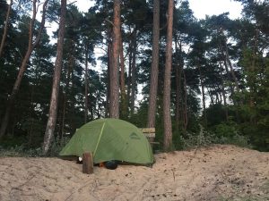 13680231_1157088057644569_7177501872498811861_o